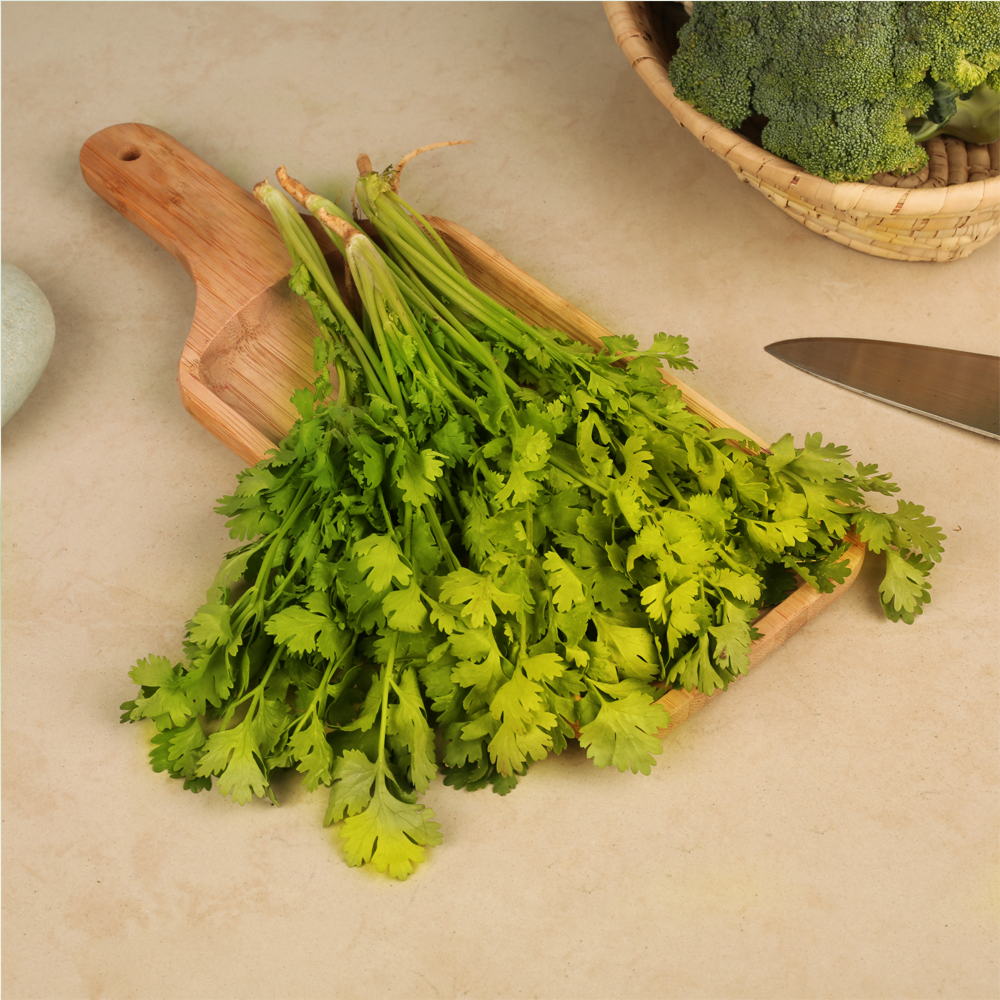 Coriander Bunch (Dhaniya Patta) 100g