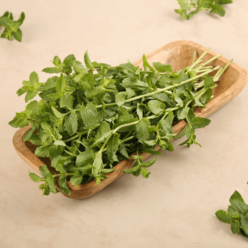 Mint Leaves (Pudina) 100g