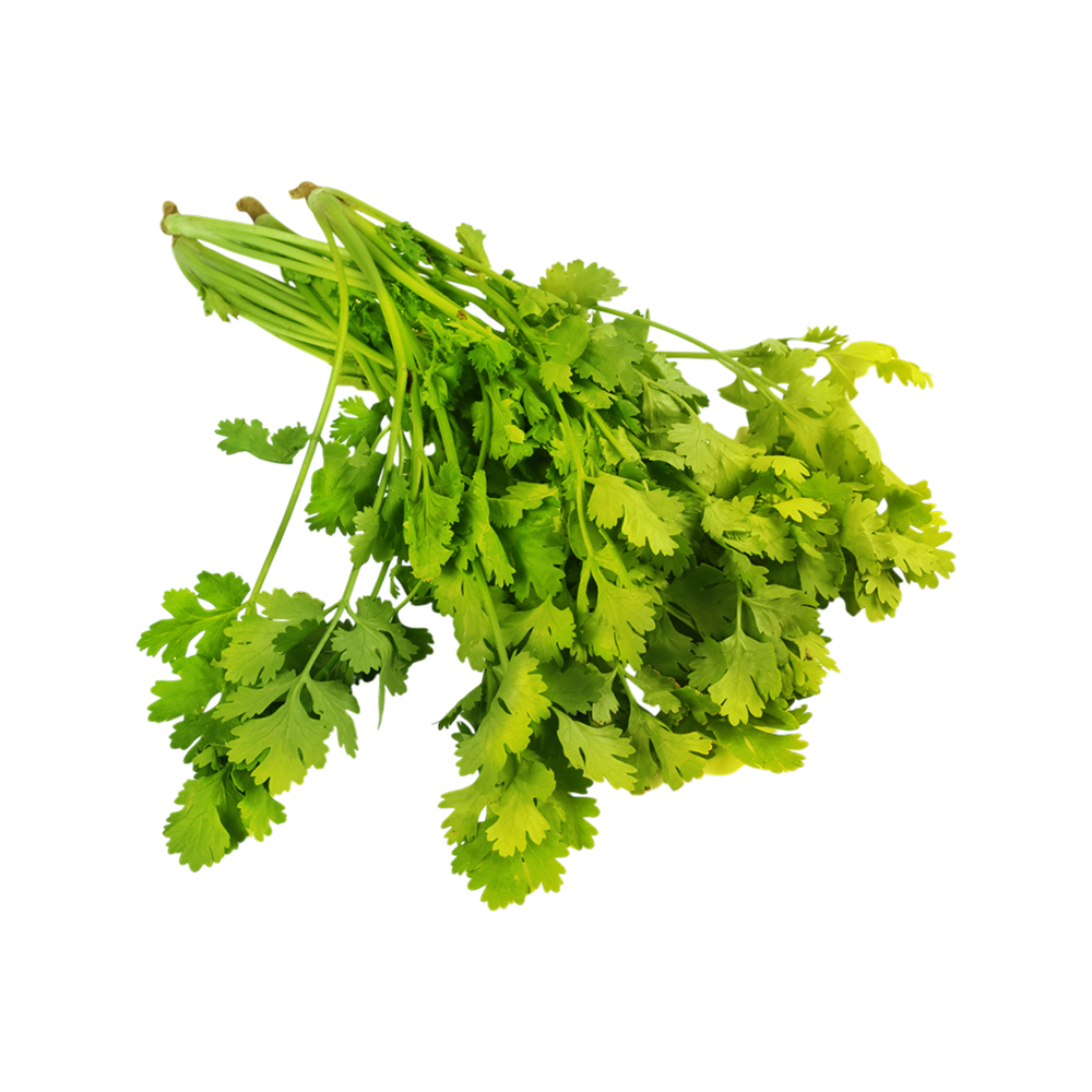 Coriander Bunch (Dhaniya Patta) 100g