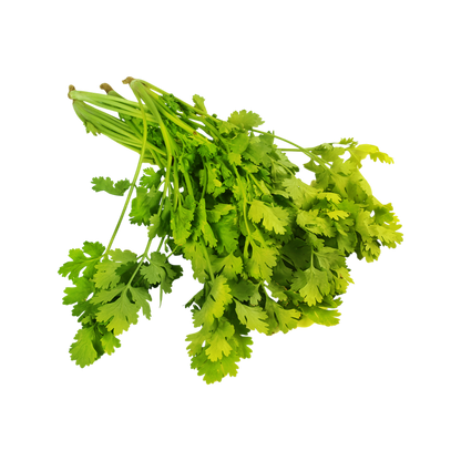 Coriander Bunch (Dhaniya Patta) 100g