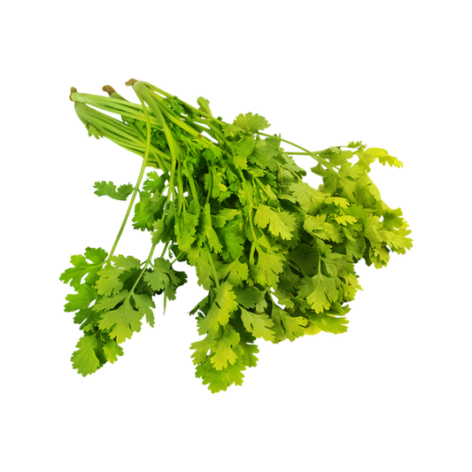 Coriander Bunch (Dhaniya Patta) 100g